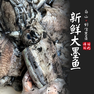 【闹妈海鲜】[鲜冻]舟山野生原汁大墨鱼，季节货嫩嫩嫩/各种规格