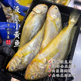 舟山野生小黄鱼 鲜冻 各种规格 闹妈海鲜
