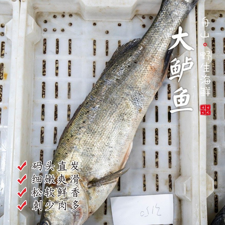 【闹妈海鲜】【鲜冻】舟山te大海鲈鱼 各种规格按条卖,水产肉类/新鲜蔬果/熟食,鲈鱼,淘宝优惠券,粉丝福利购,淘宝优惠卷