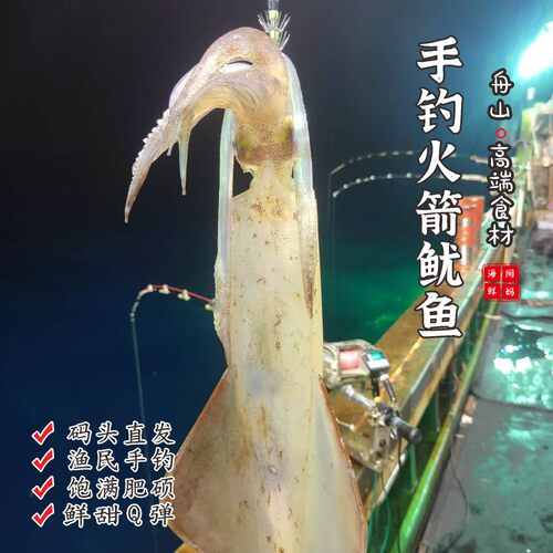 【闹妈海鲜】[鲜冻]舟山海钓手钓火箭鱿鱼 各种规格