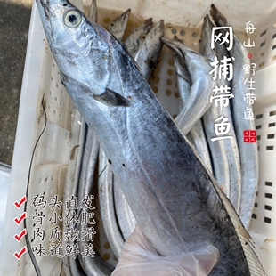 【闹妈】[鲜冻]舟山东海捕捞油带鱼  按条卖【会有破肚现象】