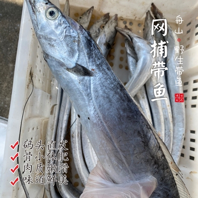 【闹妈】[鲜冻]舟山东海捕捞油带鱼  按条卖【会有破肚现象】