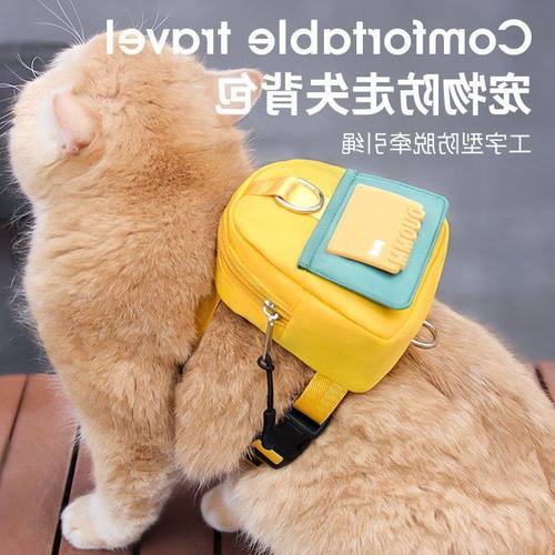 新品猫咪自背包户外可牵引猫猫