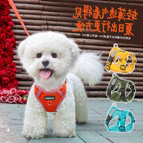 跨境新品狗狗胸背小型犬透气宠物