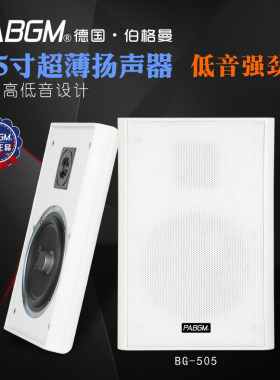 PABGM超薄挂壁家庭挂壁音箱