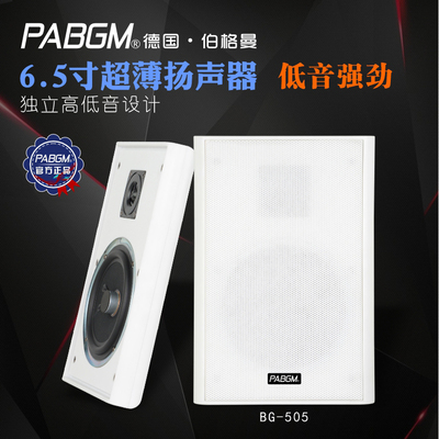 PABGM超薄挂壁家庭挂壁音箱