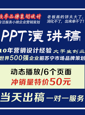ppt制作代做美化修改路演讲课件设计服务述职工作汇报总结