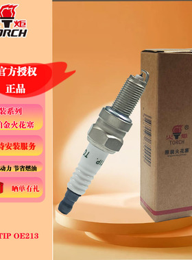 火炬原厂铱铂金火花塞金杯海星T20/T22/T30/T32 B7RTIP OE213
