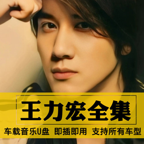 王力宏歌曲全集U盘无损高音质经典新老歌曲全合集汽车载音乐优盘