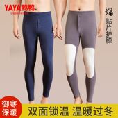 发热打底内衬裤 鸭鸭男士 保温锁热棉毛裤 秋冬季 保暖裤 加厚加绒秋裤