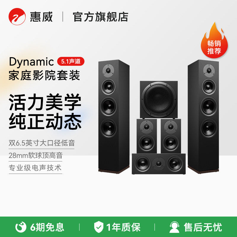 惠威Dynamic高端家庭影院环绕音响套装5.1声道电视客厅组合音箱