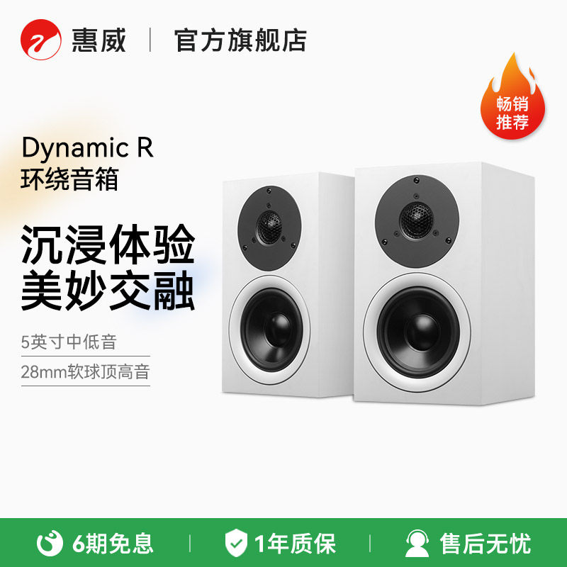 惠威Dynamic R环绕中置音箱低音炮家庭影院客厅组合音响
