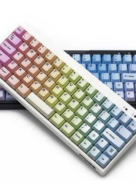 Filco Minila 蓝牙有线双模迷你啦机械键盘热升华PBT键帽彩虹渐变