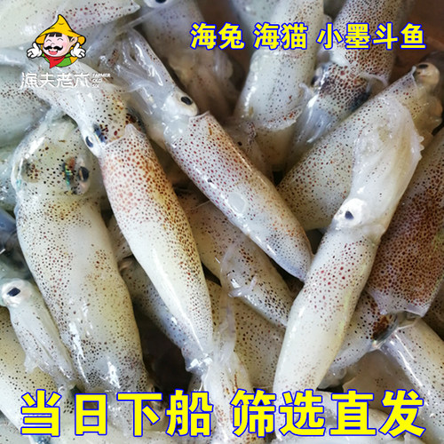 渤海新鲜冷冻笔管鱼海猫