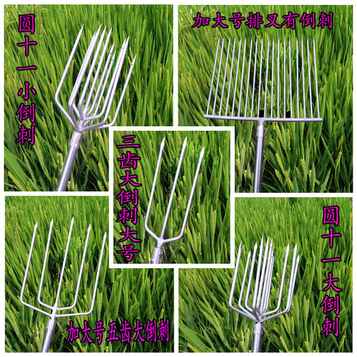 不锈钢鱼叉头平叉排叉圆叉灯笼叉海用鲫鱼淡水垂钓鳗鱼草鱼鲤鱼鲢