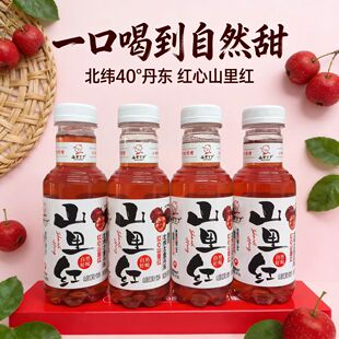 山里丁丁山里红果汁果汁饮料果味饮料无添加解腻自然好喝瓶装