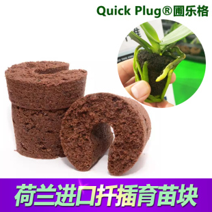 荷兰进口圃乐格育苗块通用营养土花卉扦插移栽土兰花专用营养块