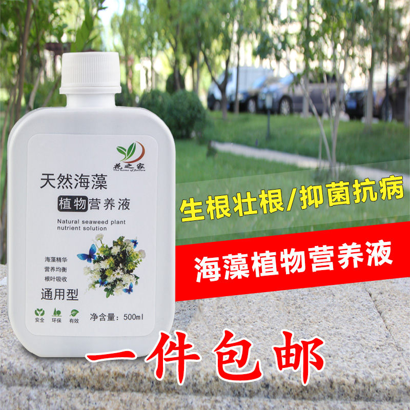 海藻营养液园艺观花观叶植物通用型液体肥有机花肥料叶面肥营养肥