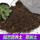 草炭土有机营养土种花土多肉月季 兰花专用泥土种植土泥炭土通用型