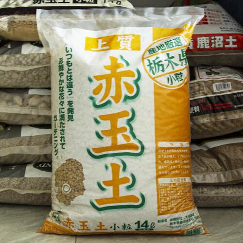 日本进口大柿赤玉土自然晾干