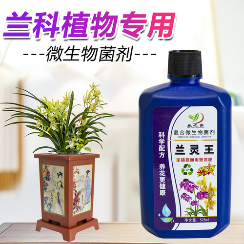兰灵王兰花专用菌肥营养液活化剂
