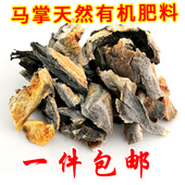 马掌有机肥花卉植物花盆底介质天然肥料马蹄片肥盆底垫底土壤肥