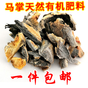 马掌有机肥花卉植物花盆底介质天然肥料马蹄片肥盆底垫底土壤肥