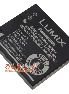 松下TS-DV001-BCE10E DMW-BCE10E CGA-S008E相机电池+充电器