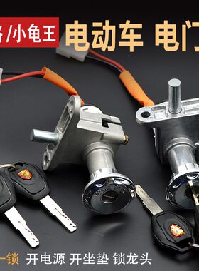 电动车电门锁摩托车2线小龟王电门锁小龟巧格点火开关龙头电源锁