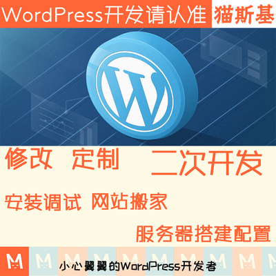 wp模板修改 wp主题修改 wp二次开发 wp插件汉化 主题美化 建站迷