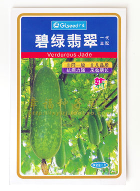 碧绿翡翠广良毛瓜栽培蔬菜种子