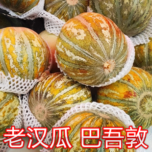 新疆老汉瓜种子 巴吾敦瓜种子 新疆传统的老汉甜瓜 一包糖瓜种子