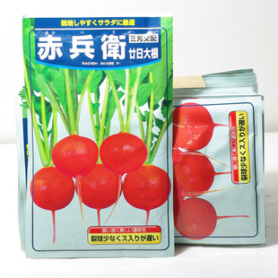 日本原种【赤兵卫樱桃萝卜种子】30天可收 适合阳台蔬菜瓜果种子