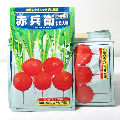 30天可收樱桃萝卜种子适合瓜果