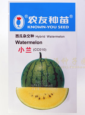 早熟黄肉甜度高易种植好吃好看