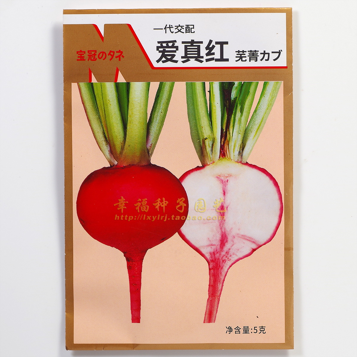 广东良种芜菁萝卜爱真红口感好