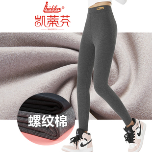 凯蒂芬2195女士螺纹棉一体绒小豚裤春秋款单层打底裤薄款保暖裤