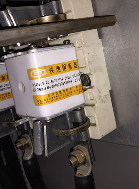 特殊定做 熔断器保险丝保险管RS4NC3 315A  600A Z102N