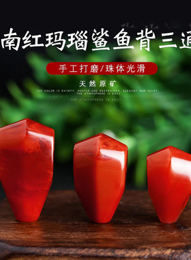 南红玛瑙精品火焰纹鲨鱼背一体三通金刚星月文玩手串链DIY配饰件