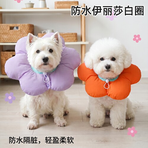 iBeans宠物伊丽莎白圈防舔可调