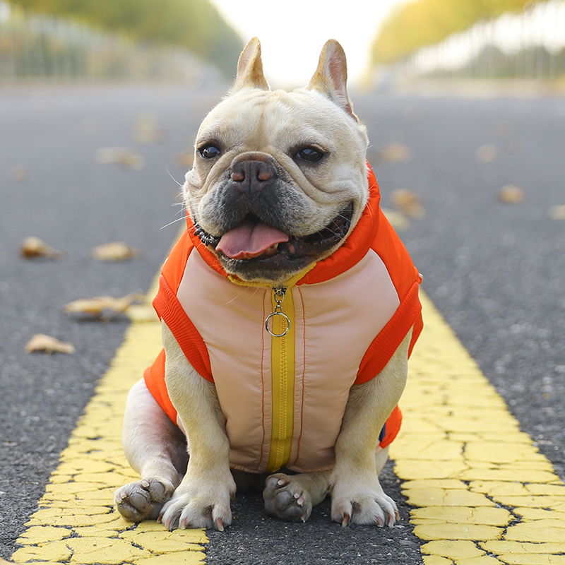 狗狗衣服秋冬保暖狐狸装高领防风防寒棉袄法斗泰迪犬加厚棉服马甲