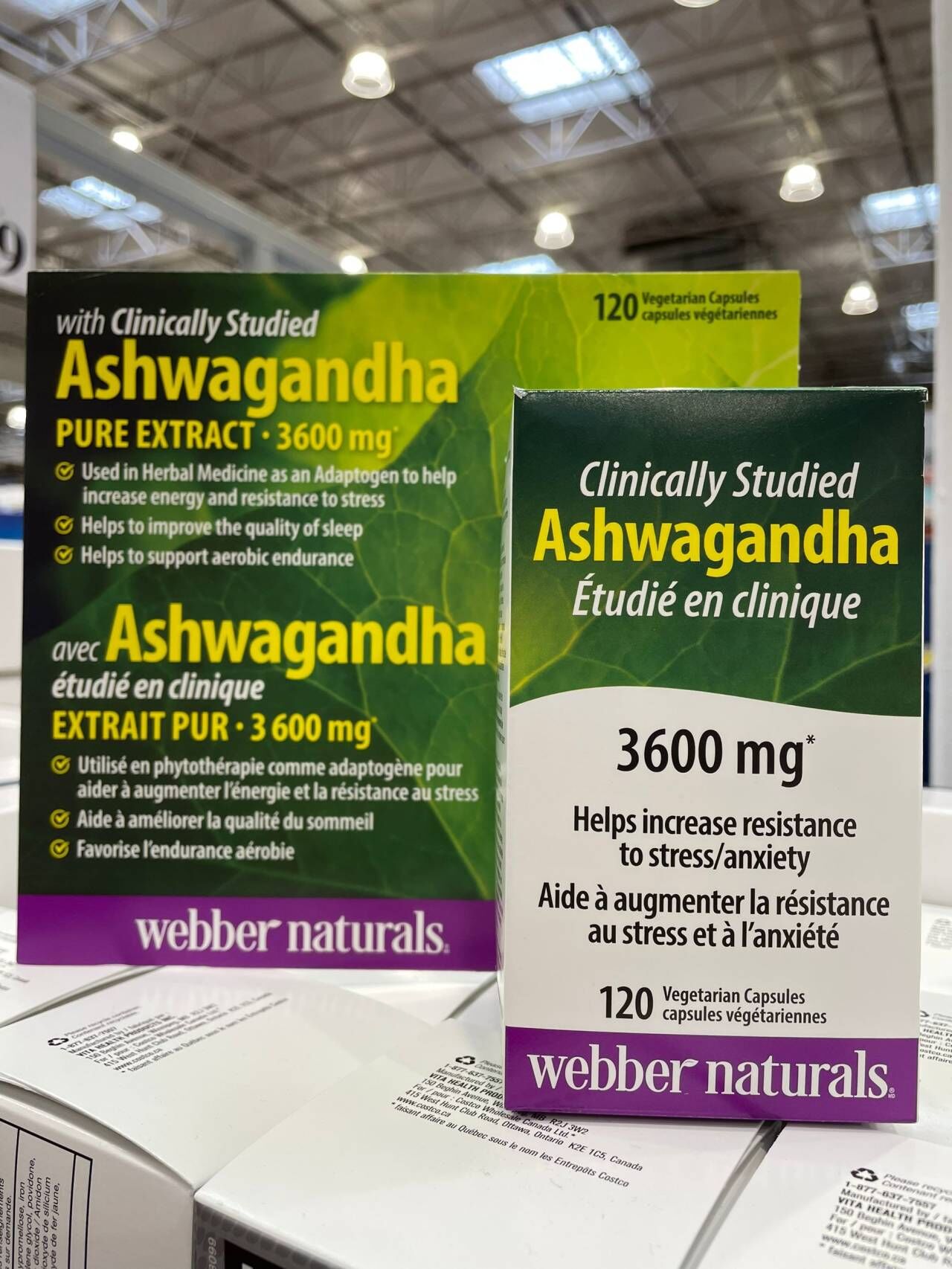 印度人参南非醉茄Webber