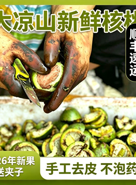 正宗大凉山农户直供老树新鲜核桃薄壳核桃仁现摘现发不打蜡山货