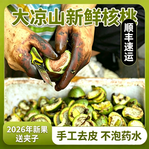 正宗大凉山农户直供老树新鲜核桃薄壳核桃仁现摘现发不打蜡山货