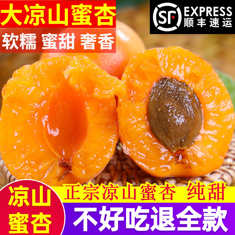 现摘大黄杏子新鲜水果当季大凉山蜜杏时令孕妇酸甜脆鲜杏金太阳杏