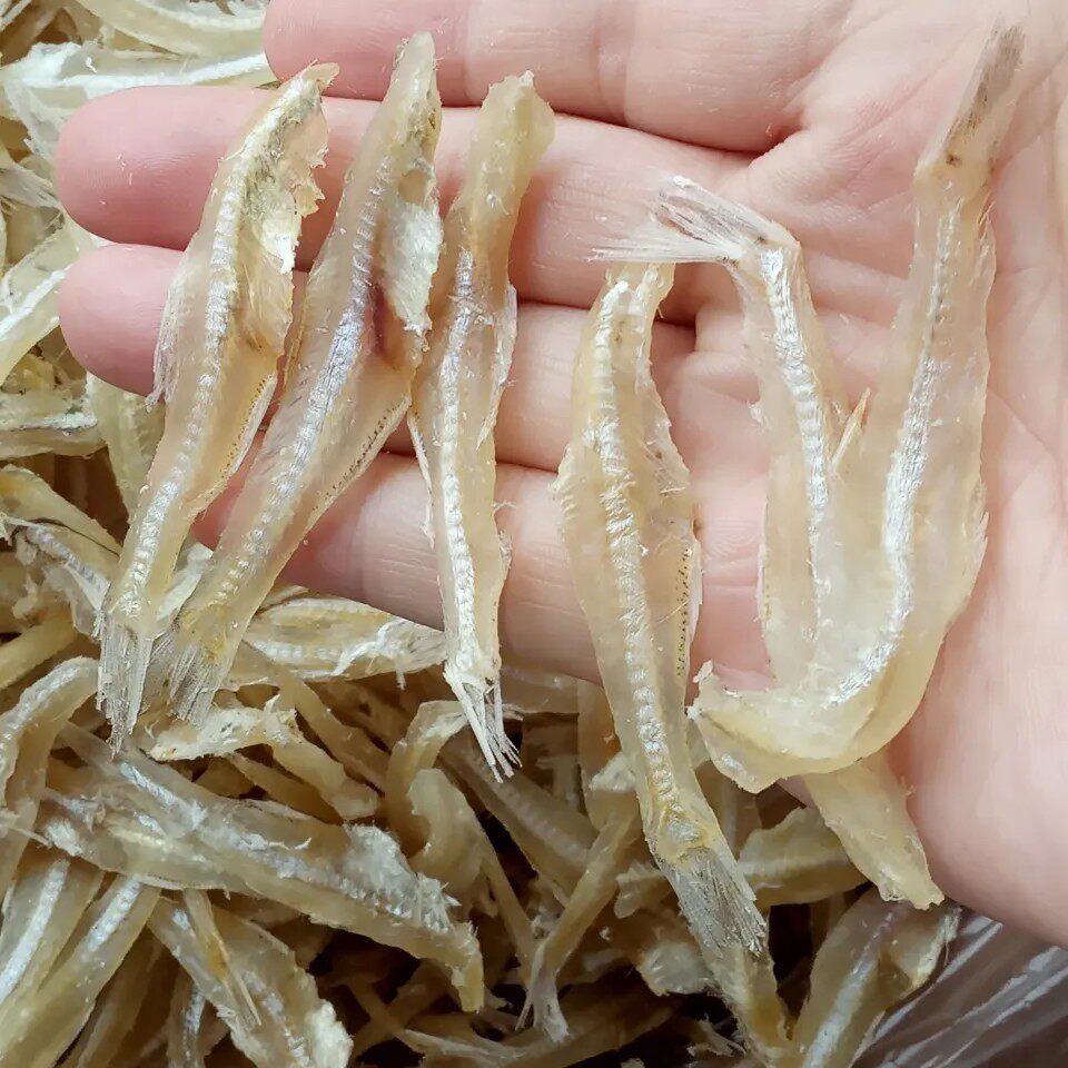 小鱼干无头鱼干白凡鱼微甜公干鱼水晶银鱼干北海特产海鲜干货250g