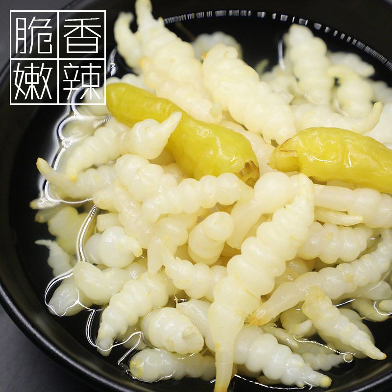 泡椒地环螺丝菜下饭酱腌菜宝塔菜甜口地牯牛地葫芦甘露400g地螺辣