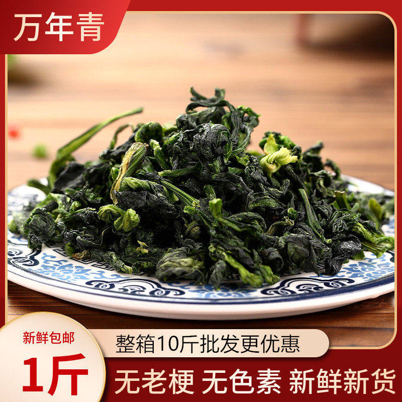 优质万年青500g 宁波特产青菜干 嫩菜芯 脱水蔬菜干 油菜干菜包邮
