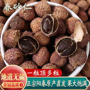 热销正宗阳春春砂仁阳春特产野生春砂仁果陈皮