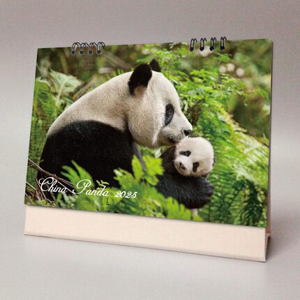 熊猫2024年2025年横版台历可爱动物可记事桌面摆件跨年月历日历